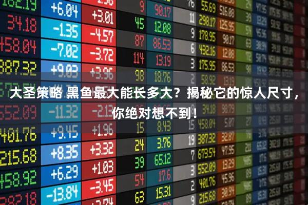 大圣策略 黑鱼最大能长多大？揭秘它的惊人尺寸，你绝对想不到！
