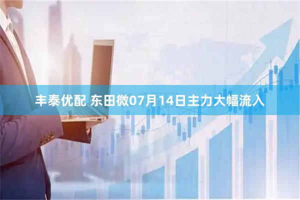 丰泰优配 东田微07月14日主力大幅流入