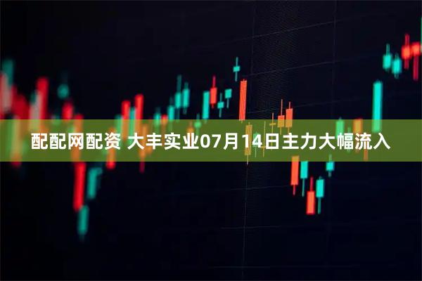 配配网配资 大丰实业07月14日主力大幅流入